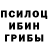 Галлюциногенные грибы Psilocybe extra Yaz