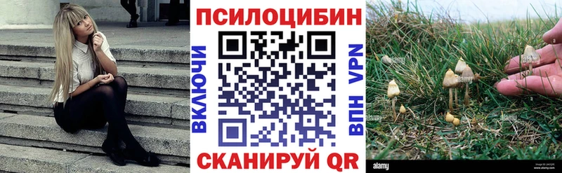 Псилоцибиновые грибы прущие грибы  закладка  Белебей 